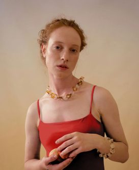 img-05-a-red-273×333